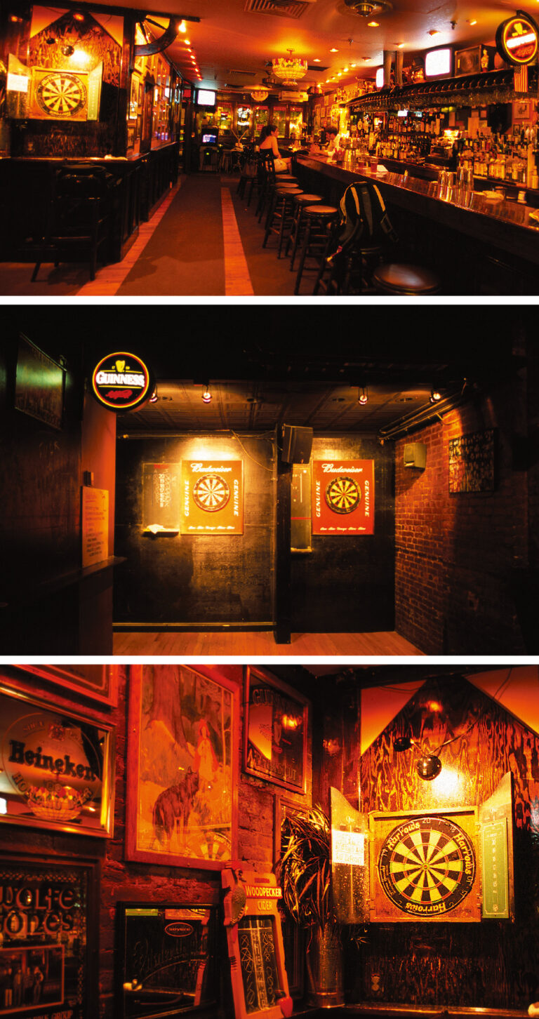 Vol.6 Darts New York 世界/日本 ダーツ情報 ニューダーツライフ オフィシャルサイト